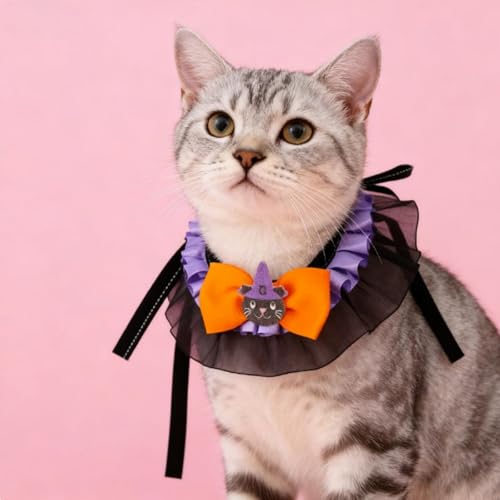 Disfraz de Halloween para mascotas, talla M