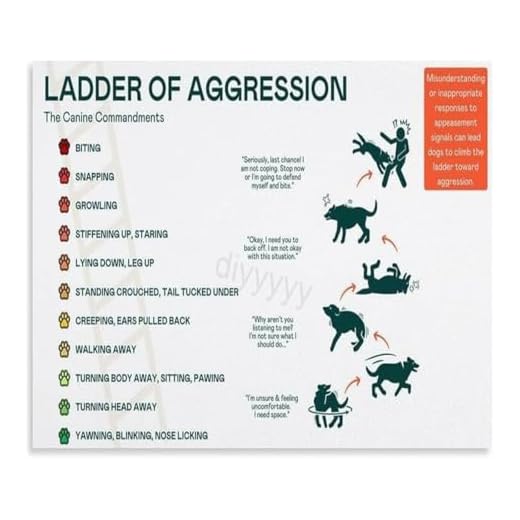 Canine Ladder of Aggression Behavior Chart