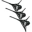 Black-3 Pack