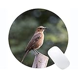ゲームラウンドマウスパッドカスタム、鳥かわいい自然マウスマット