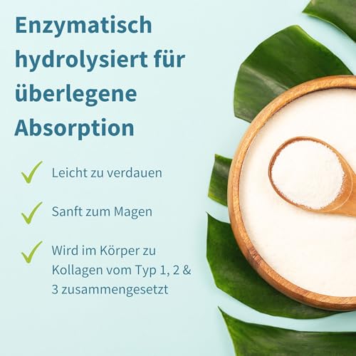 Collagen Hydrolysat Peptide aus zertifizierter Weidehaltung - Premium Rinder Kollagen Protein Pulver, Optimale Löslichkeit, 400g, von Igennus