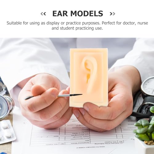 Modèle d'oreille en silicone pour l'enseignement médical et la formation pratique
