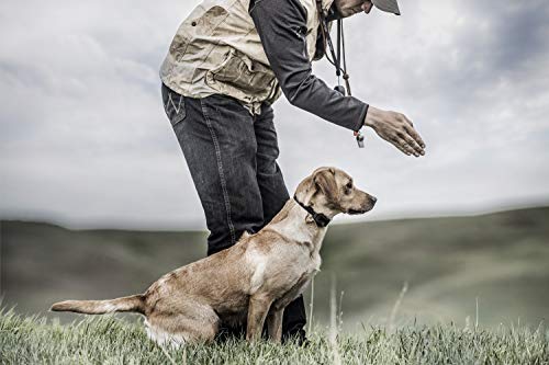 SportDOG SD-425X Electric Training Dog Shock Collar with Remote for Small, Medium, and Large Dogs - 500 Yard Range, Vibration, Tone, Up to 21 Stimulation Levels, Waterproof, Rechargeable E-Collar