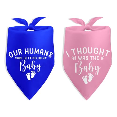 DPAiEXhbOo_i Our Humans are Getting Us a Baby I Thought I was The Baby u[ sN hbO o_i ʔI ʐ^  ANZT[ ybg D I[i[Mtg