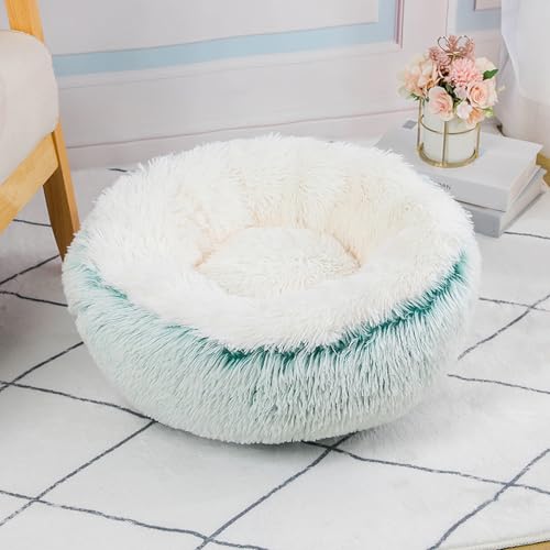 [ADSNS] p Lp ӂӂ ybgxbh H ~ t  I[V[Y ybg xbh pi Lpi 3TCYIׂ 5J[Iׂ ~p NbV 60 ybgpxbh ~Q  ^p Q ybg\t@ ~ @\ g