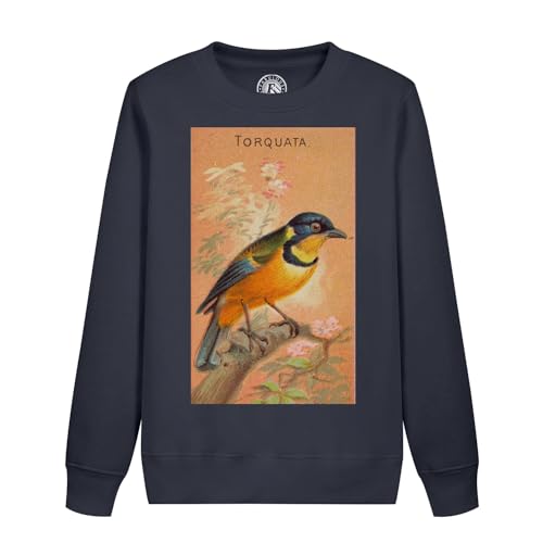 Sweatshirt enfant Torquata oiseau tangara jaune et bleu pull coton à motif animal