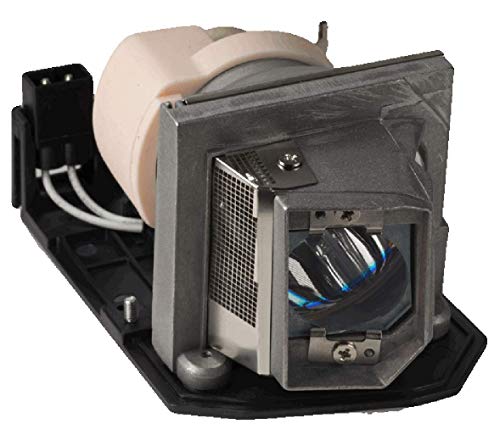 Decinat BL-FP230D SP.8EG01GC01 Original Projector Lamp Replacement with Housing for Optoma HD20 HD20-lv HD21 HD22 HD23 HD180 HD200X-LV HD230X TH1020 DH1010 HD1081 EX615 PRO800P(OEM Osram Bulb)