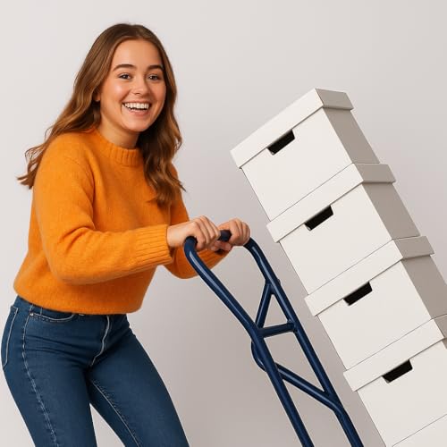 Carretilla de mano 4 ruedas con capacidad 650 lb miniatura 4