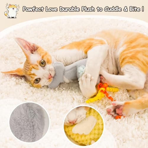 ORSDA-Cat-Toys-Cat-Wand-Toy-for-Indoor-Cats-Interative-Cat-Toy-to-Chase-Exercise-Teaser-Bird-Toy-for-Cats-with-5-Replacement-Kitten-Toys-for-All-Breeds