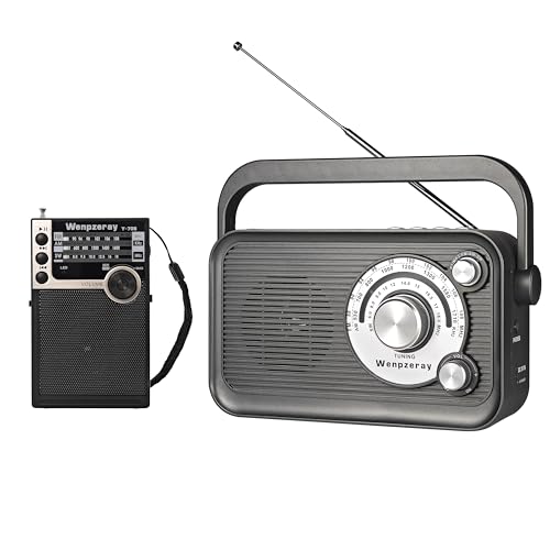 Radio portátil de bolsillo Y-706 AM FM SW y modelo D218 miniatura 1