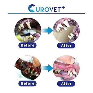 MucoMax, Oral Wound Care Gel for Dogs and Cats, 0.35oz. Safe and Easy Care with 100% Natural Ingredients. Treats Oral Wound and Inflammation. MucoMax, Oral Wound Care Gel for Dogs and Cats, 0.35oz. Safe and Easy Care with 100% Natural Ingredients. Treats Oral Wound and Inflammation.