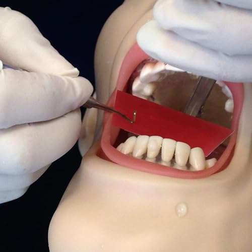 Image of 300 Sheets Dental Articulating Paper, Plastic Dispenser Red and Blue Bite Articulating Paper & Film Doubled Side