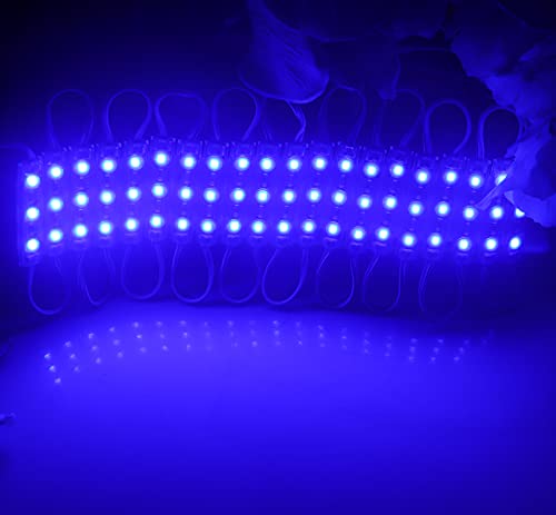Image of Super Bright 200pcs 3 LED Module Blue 2835 SMD Waterproof Decorative Light for Letter Sign Advertising Signs with Tape Adhesive Backside (Blue)