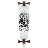 Arbor Longboard Complete Performance Bamboo Fish Pintail El Rose 21,6 x 94 cm