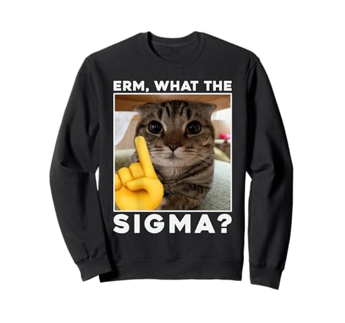 Erm What The Sigma Funny Cat Meme Humor Sweatshirt