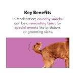 Wiggles & Wags Crinkle Cuts Sweet Potato Dog Treats, 11 oz, with Bone-Shaped Waste Bag Dispenser - Image 5