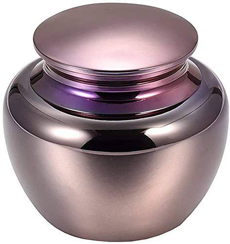 LOPEZ KENT Petites Urnes de Souvenir pour Les Cendres humaines Mini Urnes de crémation pour Les Cendres en Acier Inoxydable Memorial Ashes Holder-Mini Urnes funéraires funéraires Adulte