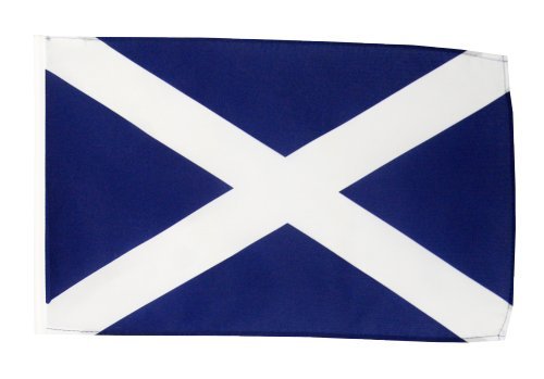 Bunting PE 10m Drapeaux De La Taille De L'Ecosse : 20x30cm