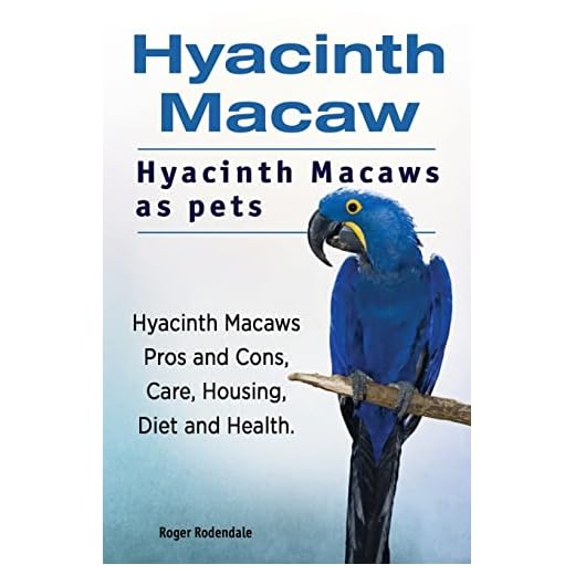Hyacinth Macaw. Hyacinth Macaws as pets. Hyacinth Macaws Pros and Cons, Care, Housing, Diet and Health.