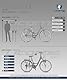 Licorne Bike Premium City Bike in 24,26 und 28 Zoll - Fahrrad für Mädchen, Jungen, Herren und Damen - 21 Gang-Schaltung - Hollandfahrrad - Violetta - Anthrazit