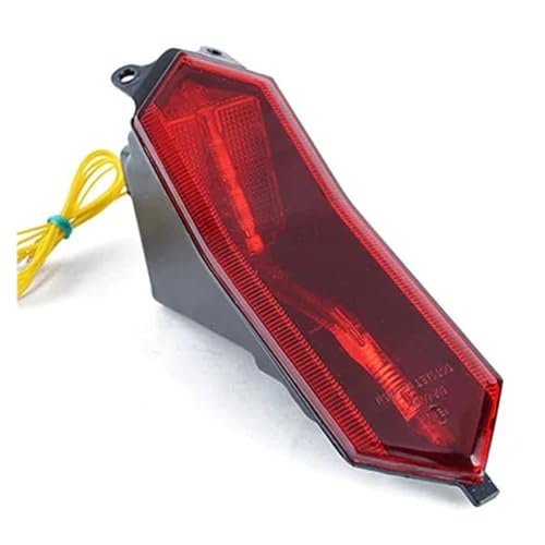 Feu arrière LED intégré avec clignotants pour R7 R1 R6 de moto