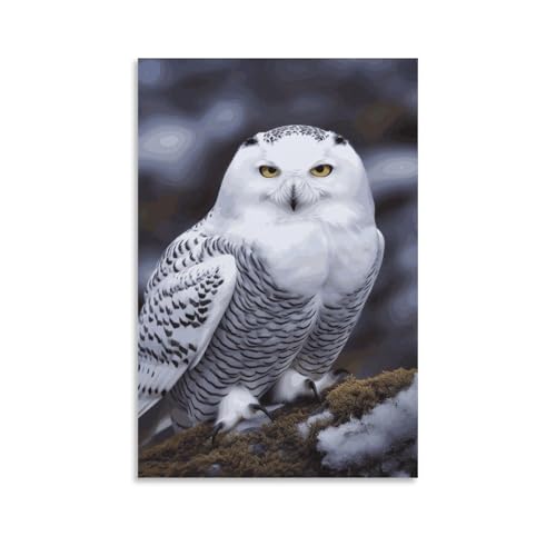 Poster hibou arctique peinture sur toile salon chambre