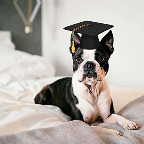 Gorro de graduación para perros doctor ajustable miniatura 2