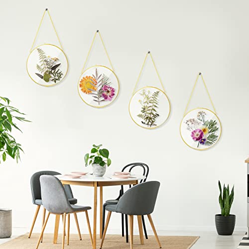 4 Pieces Pressed Flower Frame 8 Inch Brass Round Glass Frame For Pressed Flowers Hanging Herbarium Frame Gold Floating Frame Flower Press Frame Clear Diy Vintage Artwork Display Frame, Frame Only #TOP3