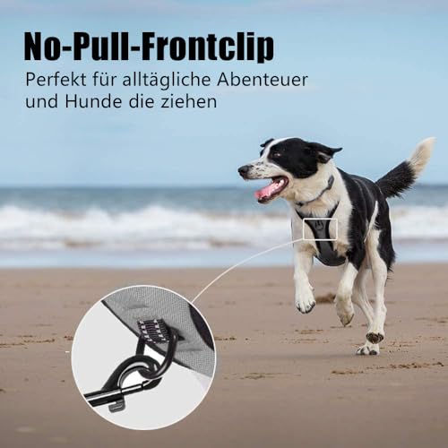 PoyPet No Pull Hundegeschirr, reflektierendes Westengeschirr mit 2 Leinenbefestigungen und einfachem Steuergriff für kleine mittelgroße Hunde (Grau, S (1er Pack))