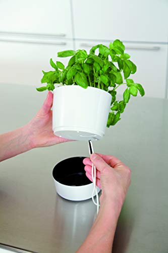 Mepal Kruidenpot groot, plastic, wit, diameter 13 cm - Image 7