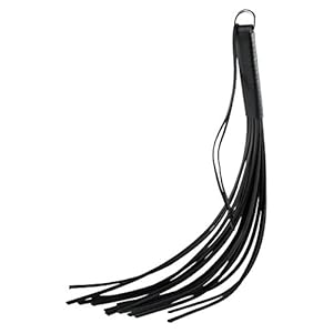 Hidden Desire Handige lederen flogger, zwart