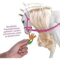 Barbie dreamhorse and barbie doll Clearance