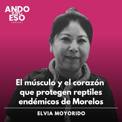 『48 | El m&uacute;sculo y el coraz&oacute;n que protegen reptiles end&eacute;micos de Morelos, con Elvia Moyorido』のカバーアート