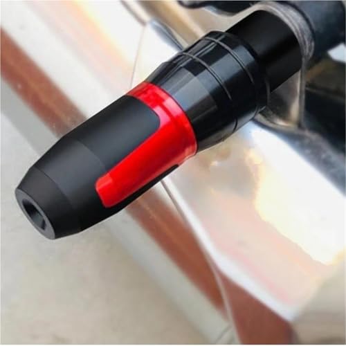 Protection anti-chute pot échappement Ducati Panigale V2 899 959 1199 1299 titane - 4