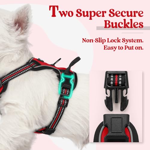 Image of rabbitgoo Dog Harness No Pull with 2 Leash Clips, Adjustable Soft Padded, Reflective Oxford No Choke Pet Vest with Easy Control Handle for Puppy, Red,XS | No Choke, Adjustable, Breathable Padded, 2 Lead Rings, Reflective, Easy Control for Walking Training, XS, Red