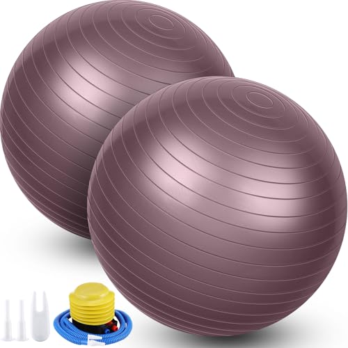 Image of Leyndo 2 Pcs Exercise Ball Yoga Ball with Pump 26 Inches / 65 cm for Workout Pregnancy Stability Anti Burst Birthing Fitness Improved Posture, Balance, Yoga, Pilates, Training
