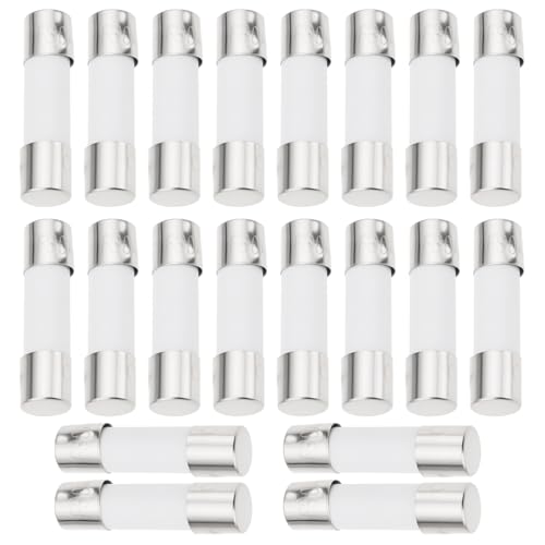 YINETTECH 20 Stück 30 A E-Bike-Akku-Sicherungen, 5 x 20 mm, Keramikkörper, kompatibel mit Silverfish-Akkupacks