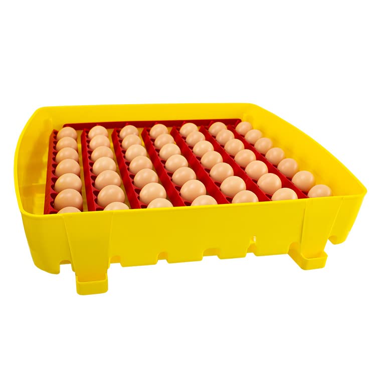Incubadora digital semiautomática ET49 con aditivo antibacteriano Biomaster™ - River Systems - Capacidad 49 huevos de tamaño mediano 0 196 pequeños