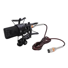 [PREMIUM SOUND] Enjoy a sensitivity of up to -32dB±2 dB for crystal-clear performance. [ENHANCED RECORDING] Shock mount, windscreen, and XLR cable ensure immersive sound pickup. [VERSATILE USAGE] Ideal for podcasting, singing, live streaming, gaming,...