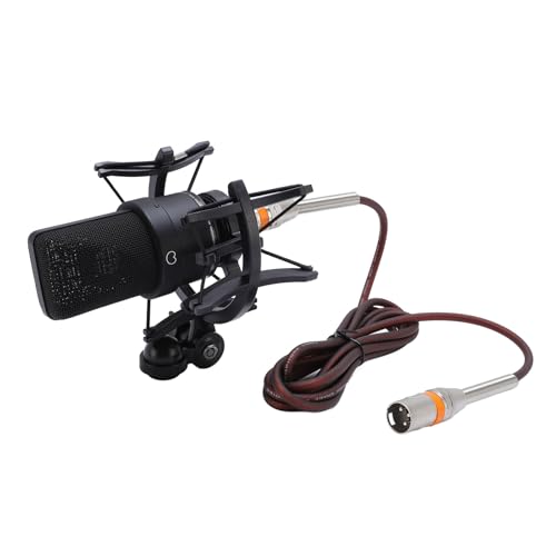 aqxreight Micrófono de Condensador de Estudio Profesional con Kit de Micrófono de Grabación XLR de Diafragma de 26 Mm para Podcasting, Streaming e Incluye Soporte Antigolpes, Parabrisas y Cable para