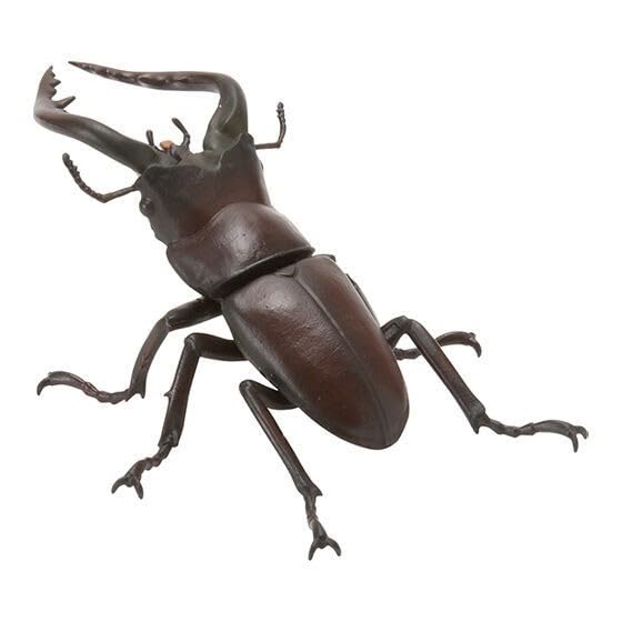 【専用】TOKUKO 1er VOL　チュニック　クワガタ　カマキリ　昆虫 専用】TOKUKO 1er VOL チュニック クワガタ カマキリ 昆虫