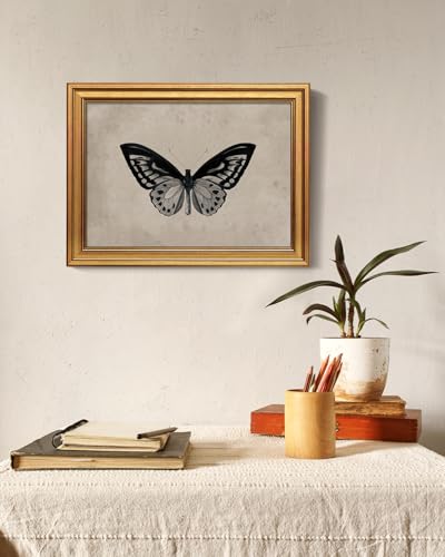 Image of VIYYIEA Vintage Gold Framed Wall Art for Living Room,【Ornithoptera alexandrae】-(16L x 12W)