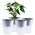 Oliz Self Watering Planter 2 Pieces 6 Inch, Plastic Flower Pots with Inner Pot Indoor Plants Brick Pattern Flowerpot for Indoor Plants, African Violets, Flowers, Herbs