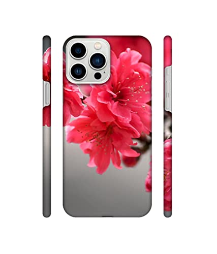 Image of Amazon Brand - Solimo Designer Blossom Like Flower 3D Printed Hard Back Case Mobile Cover for Apple iPhone 13 Pro Max (Plastic Multicolor)
