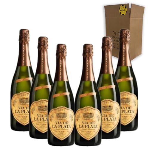 Cava Vía de la Plata Chardonnay Brut Nature - Para Disfrutar en Celebraciones y con los Tuyos - Pack 6 Botellas 75cl