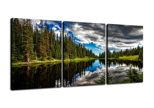 3 Pieces Nature Forest Canvas Wall Art Beautiful Landscape Posters