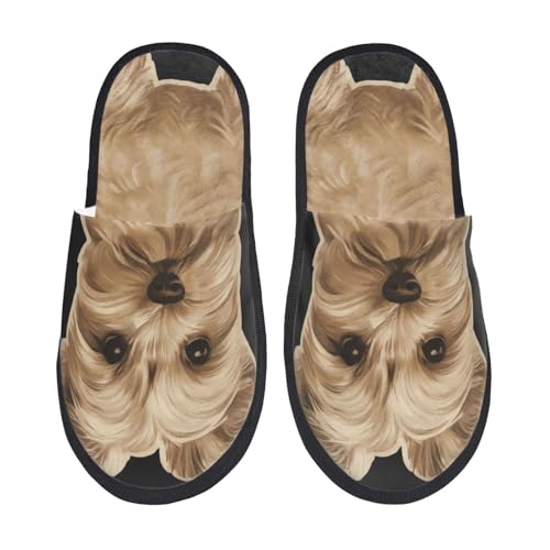 [zhandiffy] 6 j~pXbp 􂦂闈qpgCXbp M