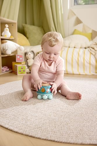 Hape Tortue Musicale, Jouet Musical dès la Naissance, Jouet éducatif avec Fonction sonore et rotative, Jouet sensoriel pour favoriser la Concentration et la motricité, Twist & Tune Turtle
