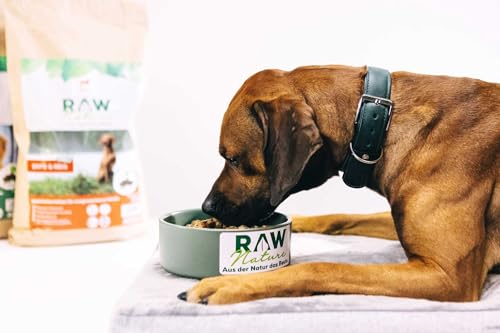 RAW Nature - Hirsch Pur 6x400g - Mit Buchweizen und Cranberries - Nassfutter für Hunde - Hoher Fleischanteil - Monoprotein - Alleinfuttermittel - Getreidefreies Hundefutter
