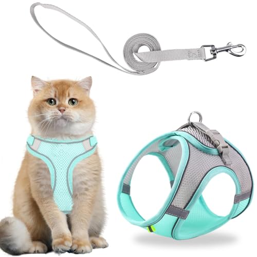 CATOR 1 Pcs Pettorina Cane Taglia Piccola Riflettente, Pettorina per Gatti con Guinzaglio, Traspirante Imbracatura Cane Regolabile Imbottito per Cani Gatti Cuccioli Taglia Piccola (XS, verde menta)